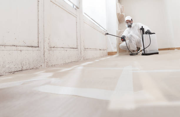 24/7 Emergency Black Mold Removal experts in Huntington, VA