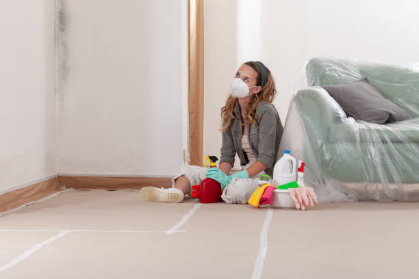 Reliable Black Mold Removal contractor in Huntington, VA by WQB Mold Removal